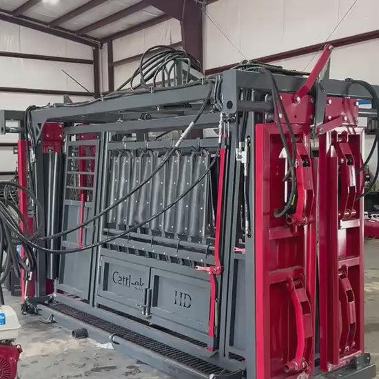 Cattl-ek HD hydraulic squeeze chute demo