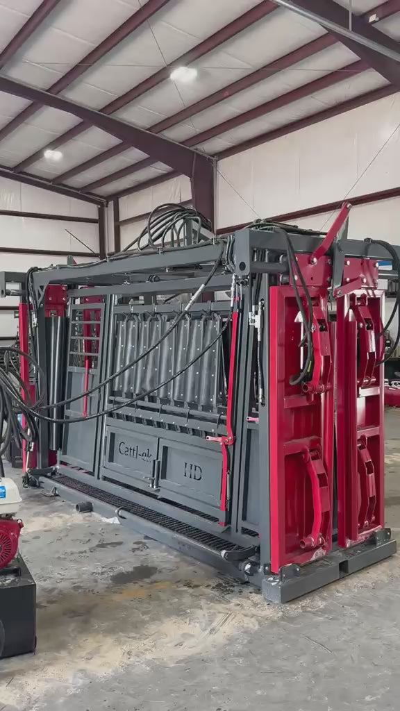 Cattl-ek HD hydraulic squeeze chute demo